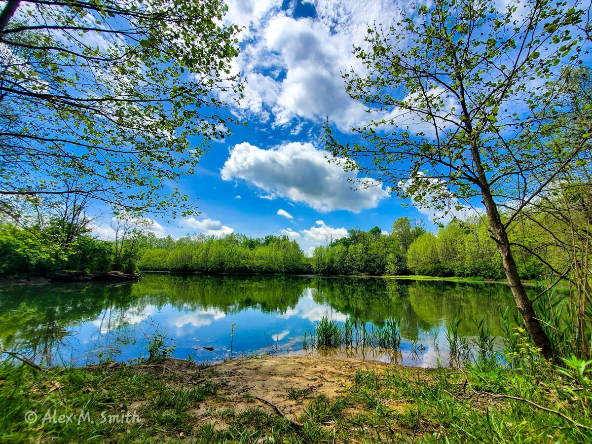 Lake with clouds and trees in background